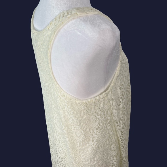 Socialite Lace Mini Dress – Size Small | NWT from Nordstrom - Picture 2 of 8